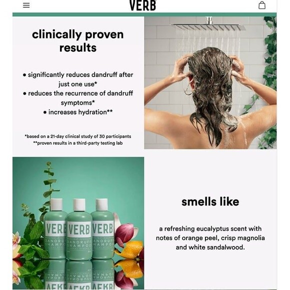 NEW VERB Dandruff Shampoo Moisturizing Non Stripping Salicylic Acid Dry Scalp - Picture 3 of 12